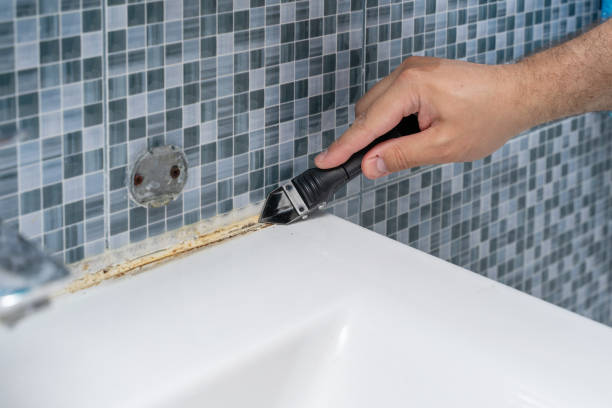 Best Emergency Mold Removal  in El Jon, CA